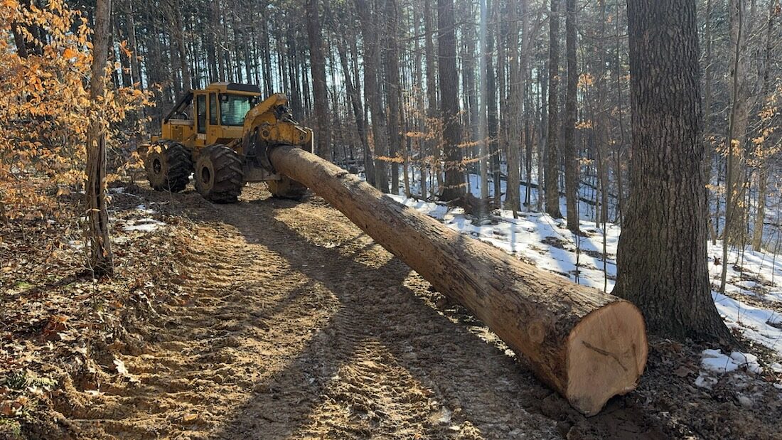 Hardwood section